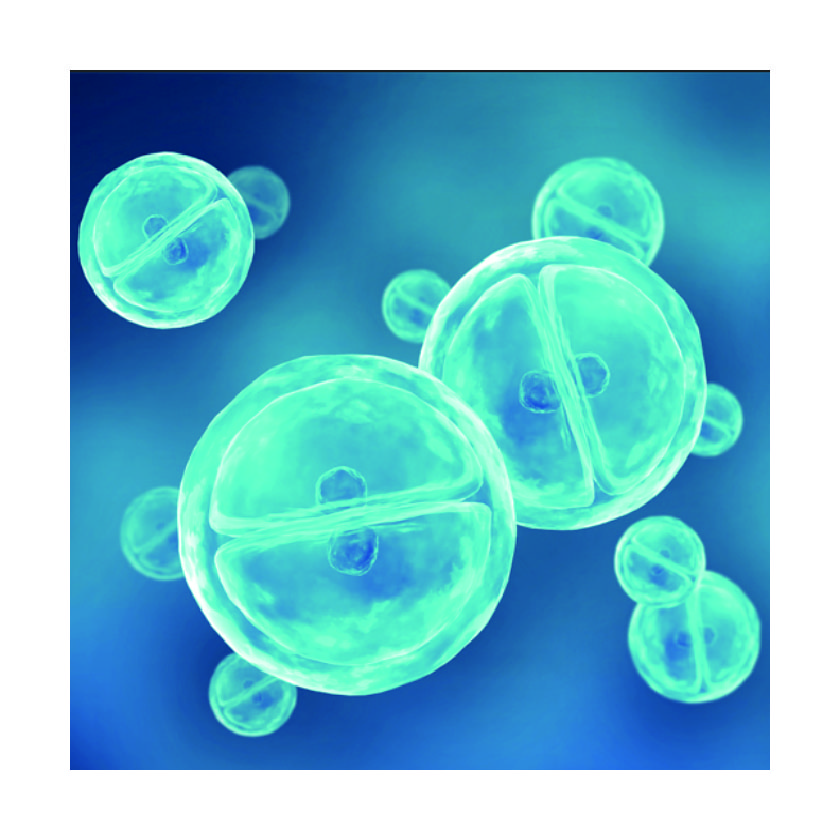 細(xì)胞生物學(xué)試劑